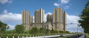 Wildernest at SP Kingstown