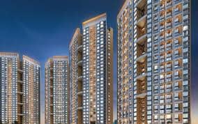 Geras Joy on The Tree Tops