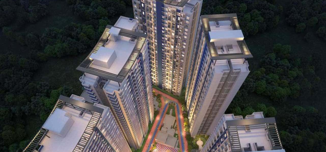 Geras Joy on The Tree Tops