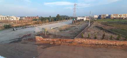 Motia Chandigarh Hills