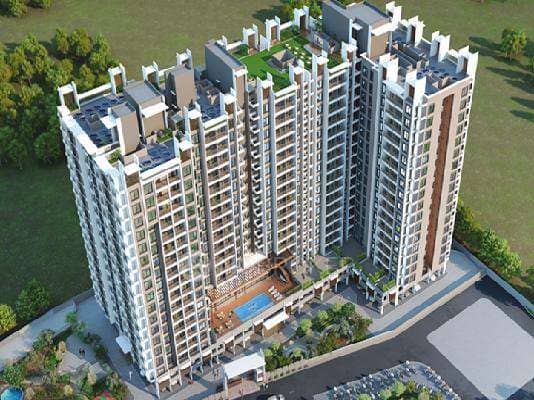 Akanksha The Camelia